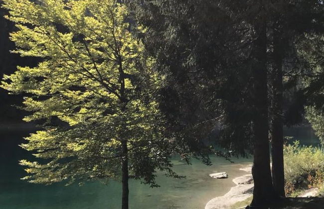 Apartamento de 2 quartos em Laax com sauna - Foto 37