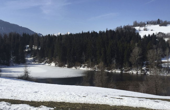 Apartamento de 2 quartos em Laax com sauna - Foto 31