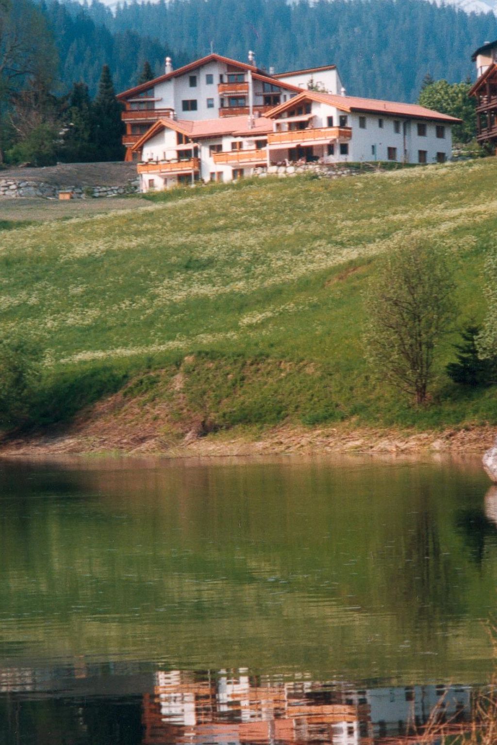 Foto 6 - Apartamento de 2 habitaciones en Laax con sauna y vistas a la montaña