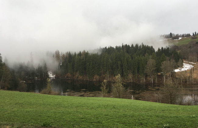 Apartamento de 2 quartos em Laax com sauna - Foto 29