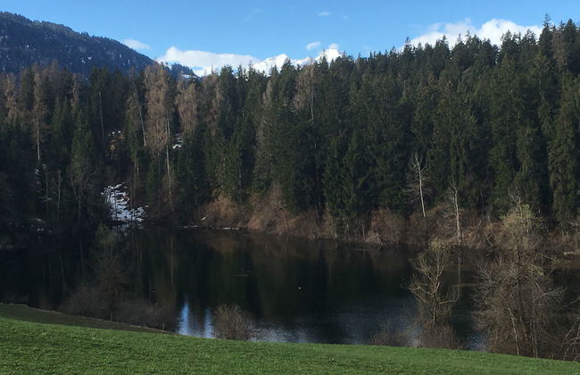 Apartamento de 2 quartos em Laax com sauna - Foto 30
