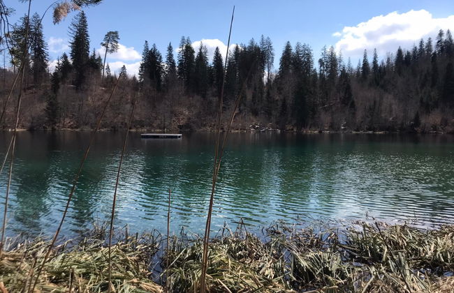 Apartamento de 2 quartos em Laax com sauna - Foto 33