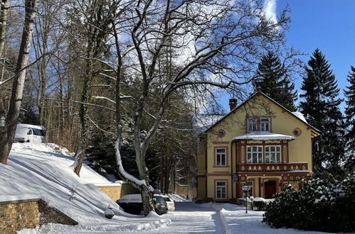 Photo 24 - Appartement en Janské Lázně avec vues sur la montagne