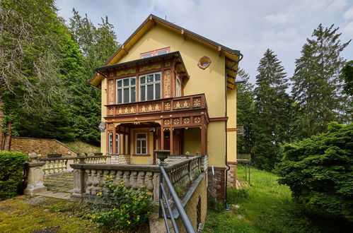 Photo 54 - Appartement en Janské Lázně avec jardin