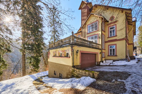 Photo 16 - Apartment in Janské Lázně with garden