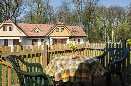 Foto 12 - Appartamento a Moravske Toplice con piscina e terrazza