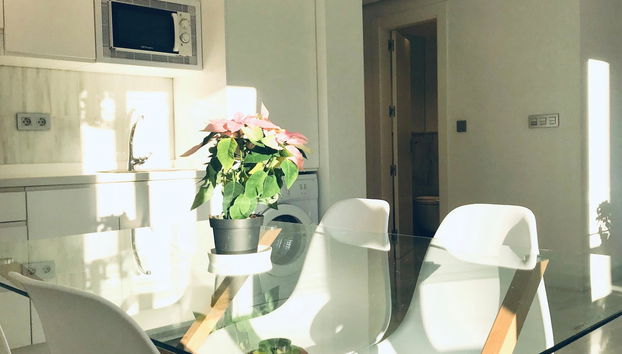 Domus Apartamentos 1 - Foto 5