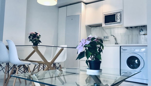 Domus Apartamentos 1 - Foto 4