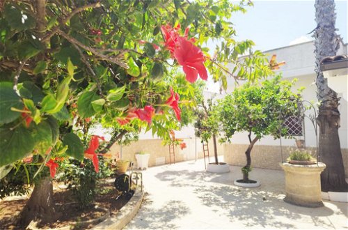 Foto 28 - Casa de 3 quartos em Taviano com jardim