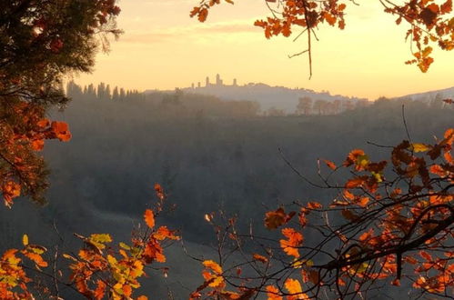 Foto 49 - Apartamento de 2 habitaciones en San Gimignano con piscina y jardín