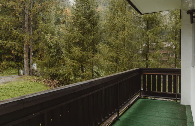Apartamento de 1 quarto em Bad Gastein com jardim - Foto 18