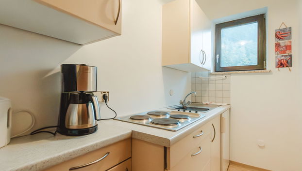 Apartment mit 1 Schlafzimmer in Bad Gastein mit garten - Foto 4