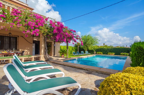 Foto 33 - Casa de 4 quartos em Alcúdia com piscina privada e jardim