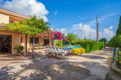 Foto 30 - Casa de 4 habitaciones en Alcúdia con piscina privada y jardín