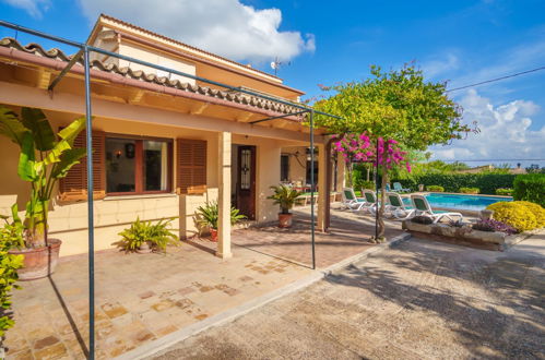 Foto 34 - Casa de 4 habitaciones en Alcúdia con piscina privada y jardín