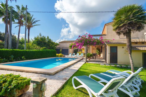 Photo 42 - Maison de 4 chambres à Alcúdia avec piscine privée et vues à la mer