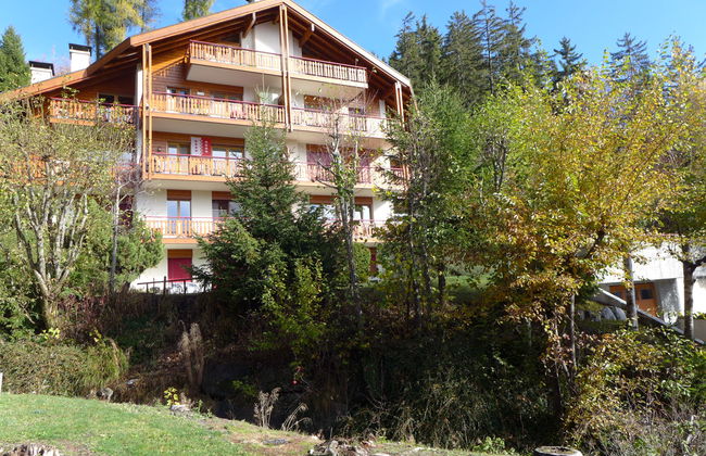Apartment mit 2 Schlafzimmern in Crans-Montana mit garten und terrasse - Foto 28