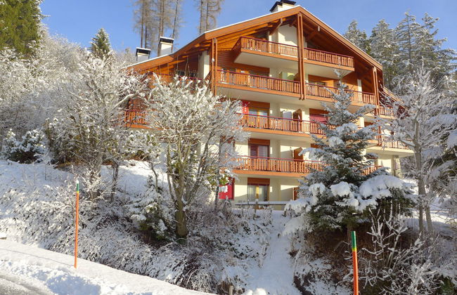 Apartment mit 2 Schlafzimmern in Crans-Montana mit garten und terrasse - Foto 34