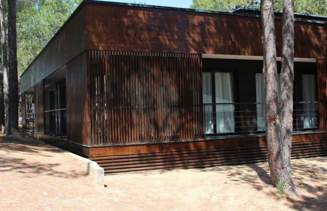 Haus mit 5 Schlafzimmern in Calvi mit schwimmbad und garten - Foto 1