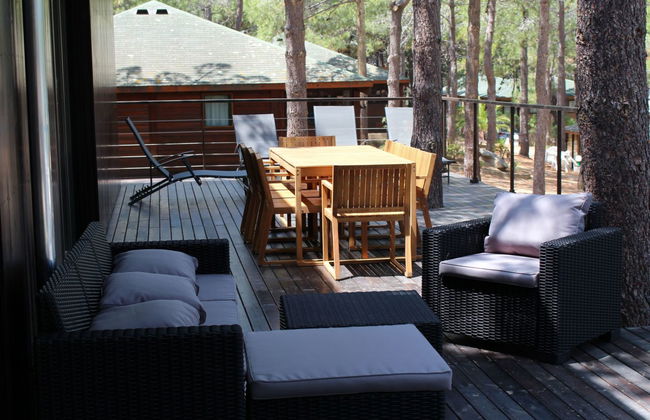 Haus mit 5 Schlafzimmern in Calvi mit schwimmbad und garten - Foto 21