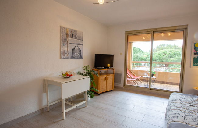 Apartamento de 1 quarto em Hyères com jardim e terraço - Foto 17