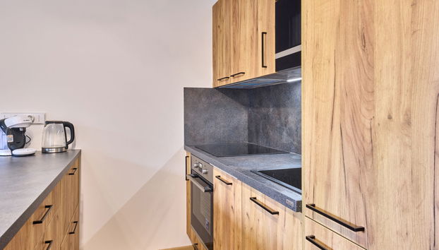 Apartment mit 1 Schlafzimmer in Černý Důl - Foto 3