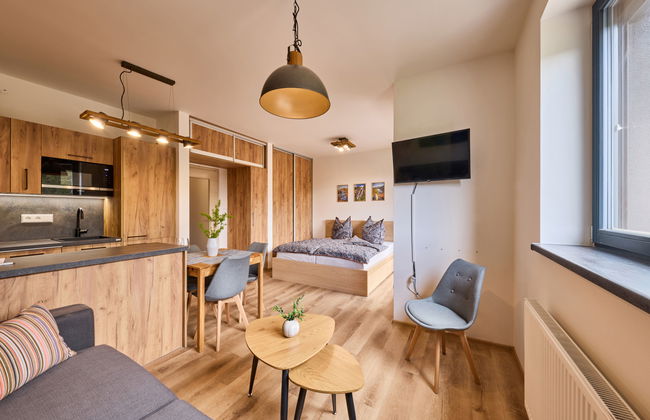 Apartment mit 1 Schlafzimmer in Černý Důl - Foto 7