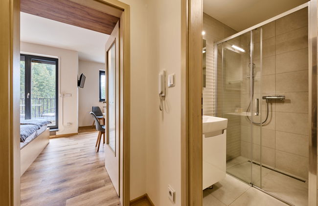1 bedroom Apartment in Černý Důl - Photo 15