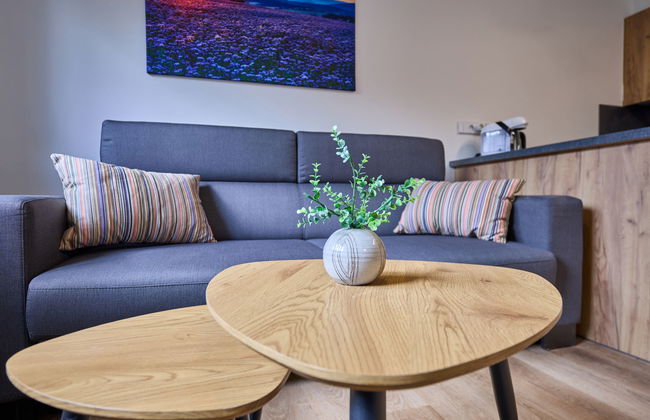 Apartment mit 1 Schlafzimmer in Černý Důl - Foto 11