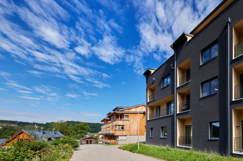 Foto 4 - Appartamento con 1 camera da letto a Černý Důl con vista sulle montagne