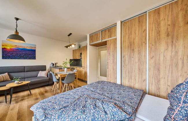 Apartment mit 1 Schlafzimmer in Černý Důl - Foto 2