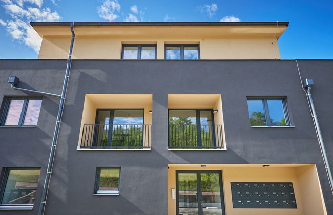 Apartment mit 1 Schlafzimmer in Černý Důl - Foto 20