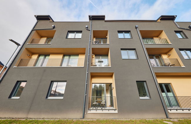 1 bedroom Apartment in Černý Důl - Photo 28