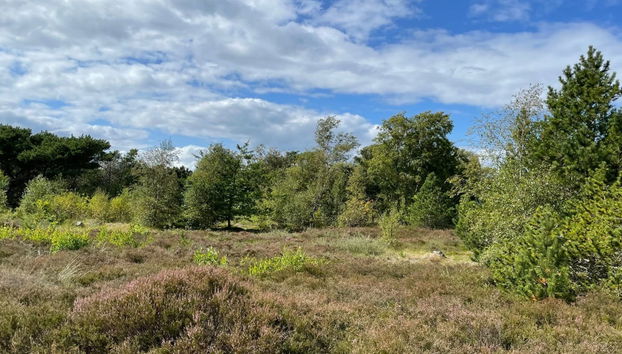 Casa de 2 quartos em Vesterø Havn com terraço e sauna - Foto 2