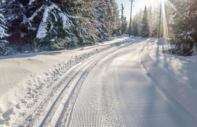 Casa de 6 quartos em Pertunmaa com sauna - Foto 33