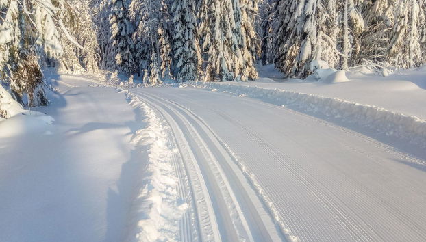 Casa de 6 quartos em Pertunmaa com sauna - Foto 5