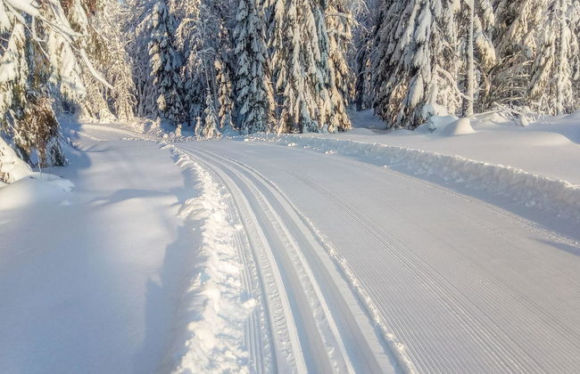 Casa de 6 quartos em Pertunmaa com sauna - Foto 5