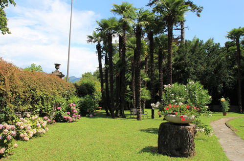 Photo 22 - Appartement de 1 chambre à Luino avec jardin et vues sur la montagne