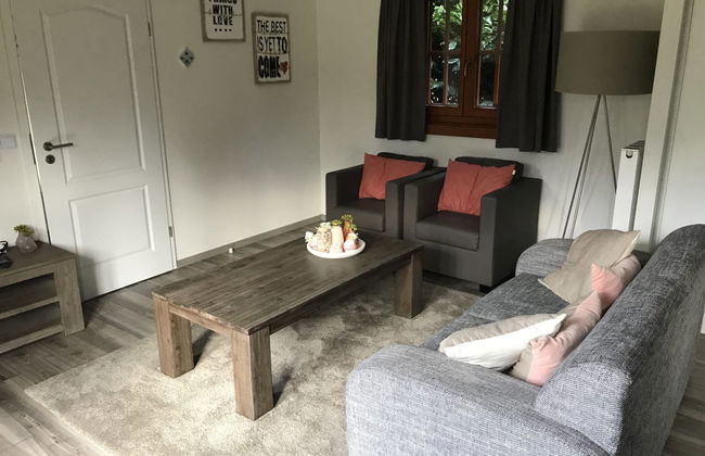 Casa de 3 quartos em Lochem com piscina e terraço - Foto 3