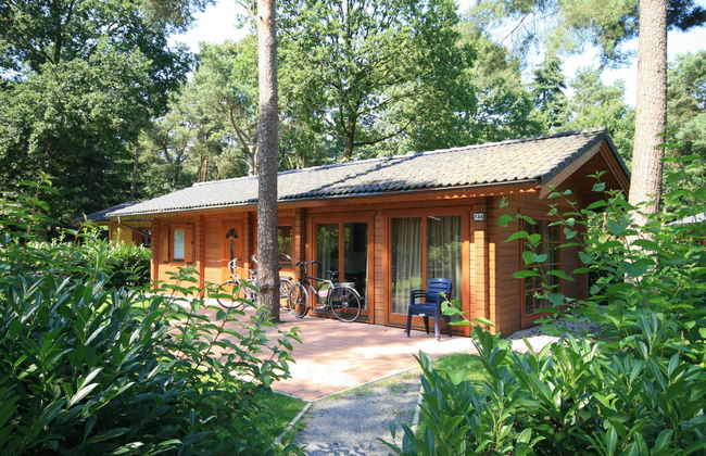 Casa de 3 quartos em Lochem com piscina e terraço - Foto 1