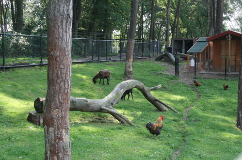 Foto 8 - Casa de 2 quartos em Brunssum com terraço