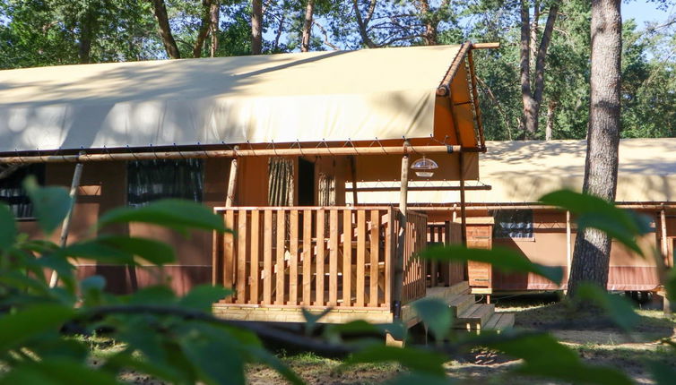 Foto 1 - Casa con 1 camera da letto a Otterlo con piscina e terrazza