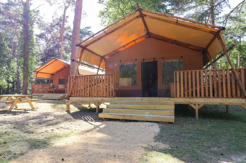 Foto 4 - Casa de 1 habitación en Otterlo con piscina y terraza