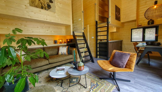 Haus mit 1 Schlafzimmer in Belfeld mit schwimmbad und terrasse - Foto 4