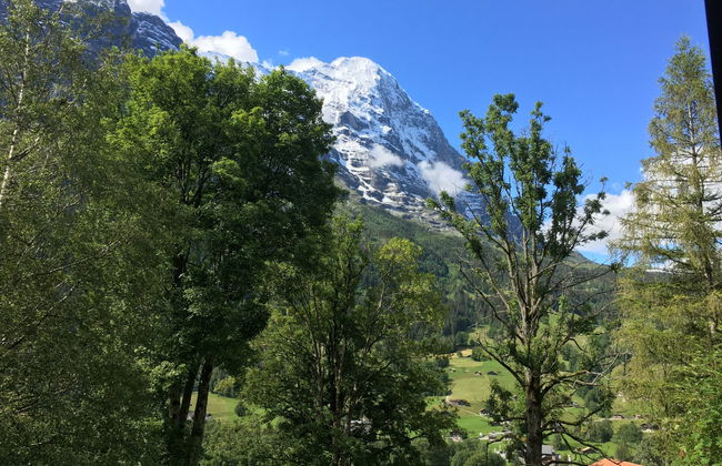 Apartamento de 1 quarto em Grindelwald com jardim e terraço - Foto 25