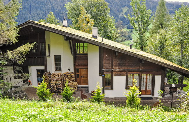 Apartamento de 1 quarto em Grindelwald com jardim e terraço - Foto 14
