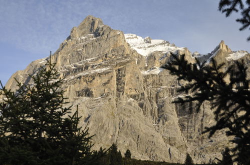 Foto 30 - Appartamento con 1 camera da letto a Grindelwald con terrazza e vista sulle montagne