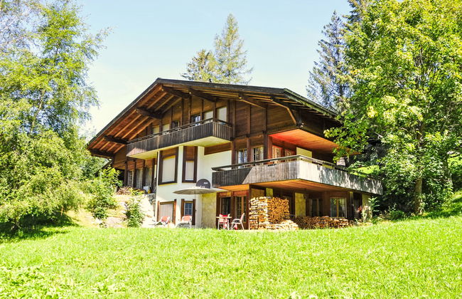 Apartamento de 1 quarto em Grindelwald com jardim e terraço - Foto 1