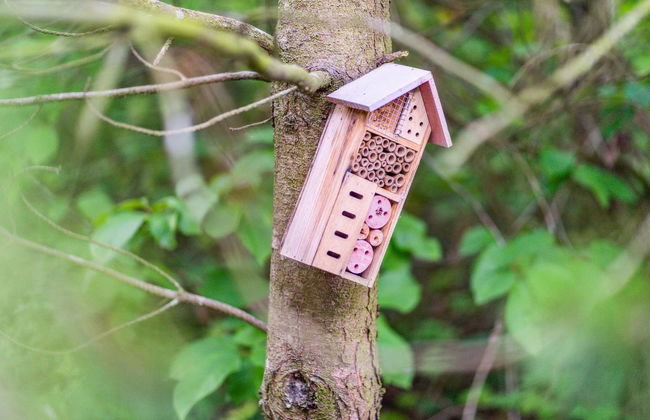 Haus mit 3 Schlafzimmern in Ebeltoft mit privater pool und terrasse - Foto 14