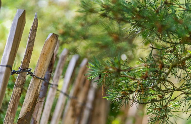 Haus mit 3 Schlafzimmern in Ebeltoft mit privater pool und terrasse - Foto 11